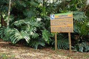 Jardín Botánico Juan María Céspedes - Tuluá