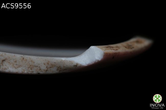 porcelana-bone-china-porcelain-bone-china